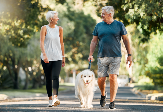 Best Supplements for Old Age – Supporting Healthy Aging, Bones & Joints